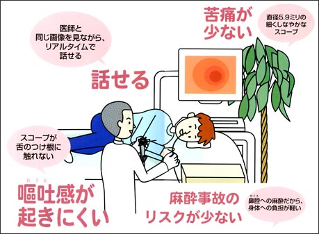(フジノン東芝ESシステム株式会社『胃の検査らくらくガイド』より)